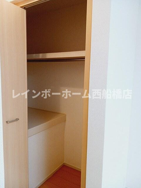 プルメリアの収納