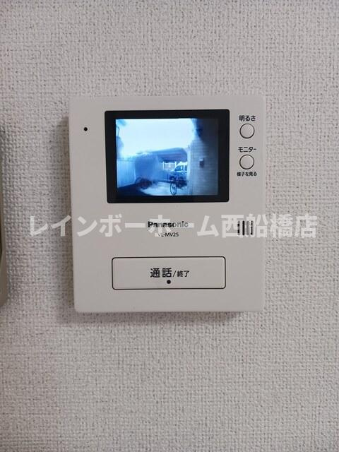 プルメリアの設備