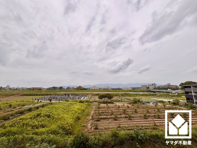 サザンパークシティ城南の展望