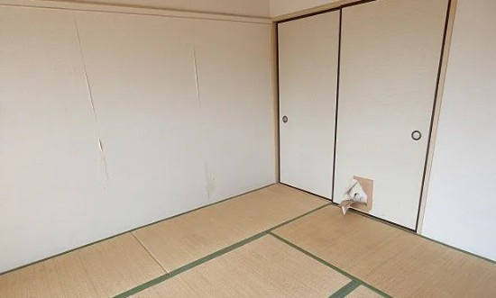 相模原市中央区相模原８丁目の賃貸マンションの内装
