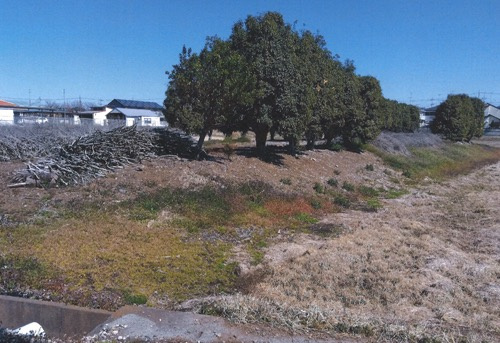 小山市犬塚売地