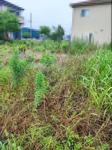 【外観】の画像