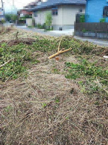 高浜市芳川町　売地の外観