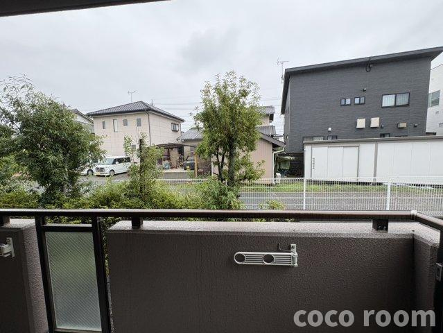 フリージア の展望