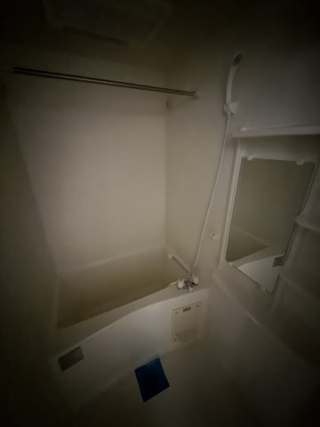 プレサンス泉アーバンゲートの浴室