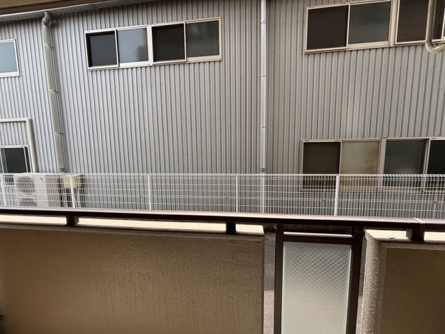 ドルフィン の展望