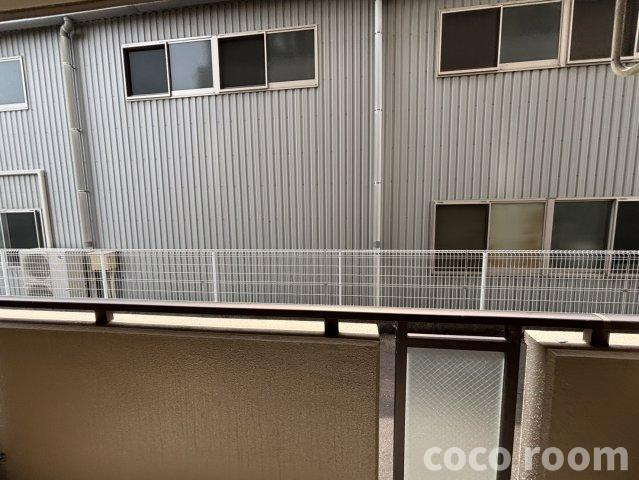 ドルフィン の展望