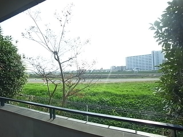 デイグラン シャンドフルールの展望