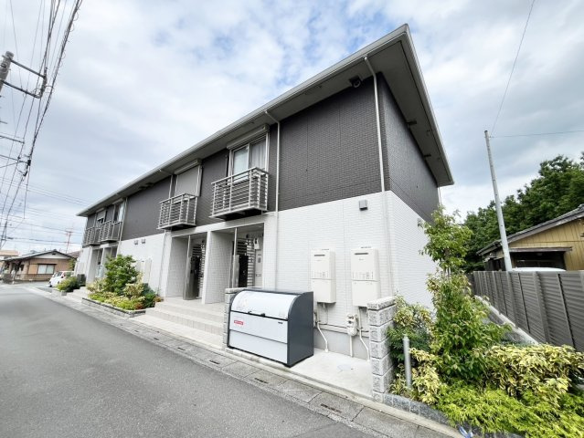 Solana彩
