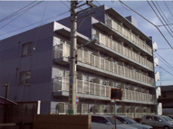 白樺マンション（シラカバマンション）の画像