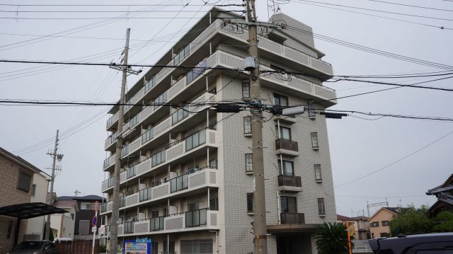 ノウブルヒル二色