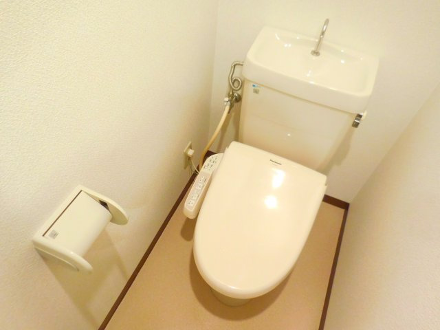 メゾンアイーシャのトイレ