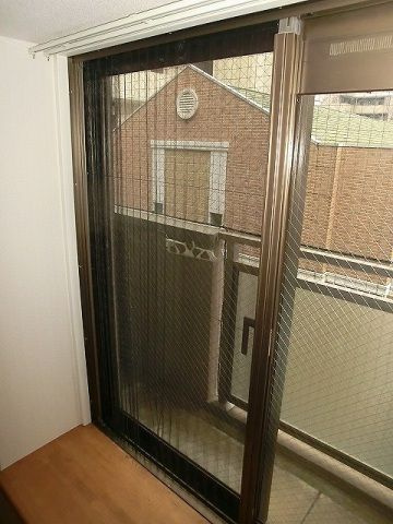 福岡市南区大楠２丁目の賃貸マンションのバルコニー