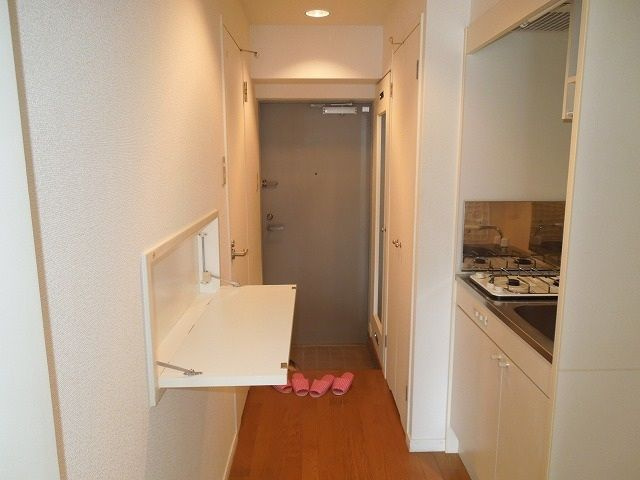 福岡市南区大楠２丁目の賃貸マンションの玄関