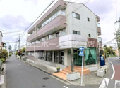サンホワイトエトワールの画像