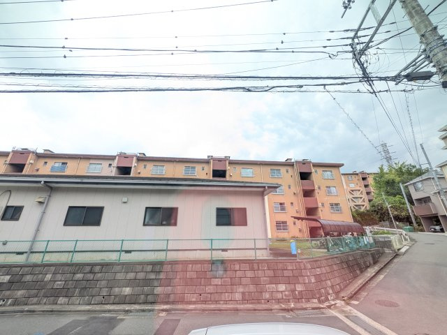 オルタンシアⅡの展望