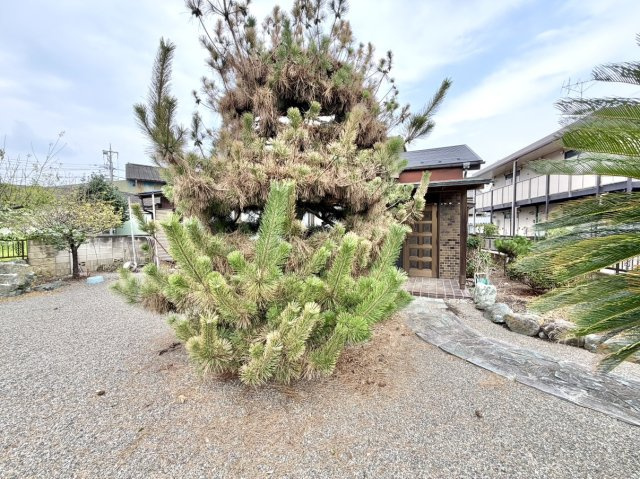 【中古戸建】高崎市新町の外観|■外観｜閑静な住宅街で始める新しい暮らし♪開放的な毎日をあなたへ(^^♪
