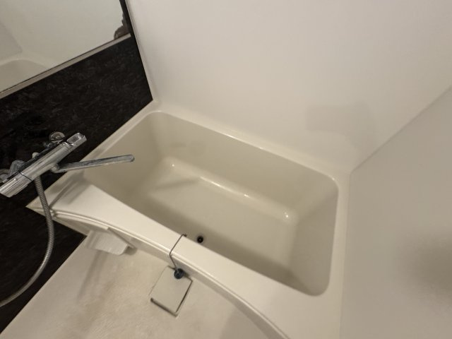 Ｗ　IKEDAの浴室