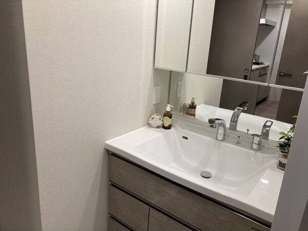 SK RESIDENCES SHINSAIBASHI (旧 SK RESIDENCES)の洗面所