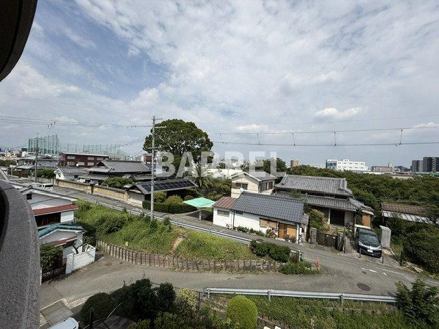 ハウス・オブ・ロゼの展望