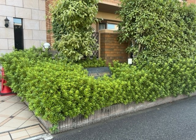 【庭】 | レクセルマンション京王堀之内 | 物件によっては、入居者が個人的に使用できる専用庭がついているものもあります。また、住宅の中にある土間の部分を庭と呼ぶこともあります。庭の用途は住む人によって変わり、それによってデザインもさまざまです。