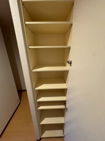 ダイドーメゾン大阪堂島の収納|収納があります