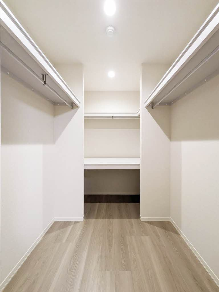 Plumjuの展望