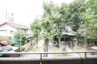 【展望】