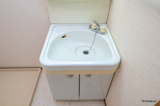 ハイカムール栗の実の洗面所