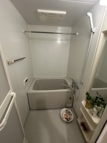 CASA RAFFINE DUEX(カーサラフィネドゥ)の浴室