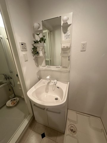 CASA RAFFINE DUEX(カーサラフィネドゥ)の洗面所