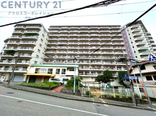 SRC造13階建て