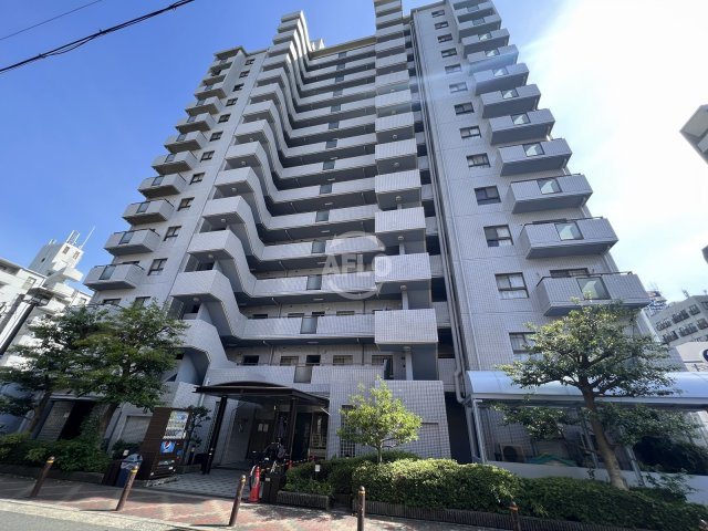パードレ関目