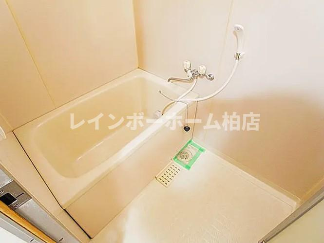 【仲介手数料：50％OFF】対象物件！の浴室|きれいなお風呂です