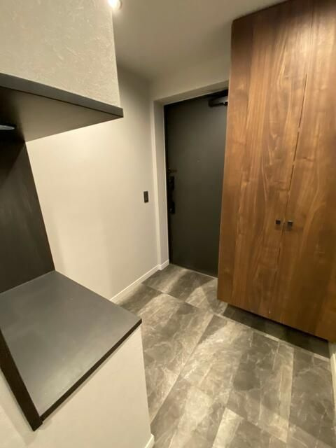 アリュイッテ椎名町の玄関