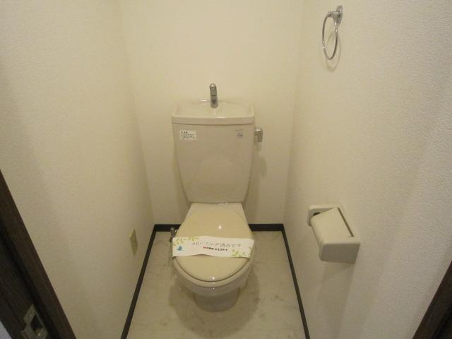 名古屋市中川区十番町４丁目の賃貸マンションのトイレ