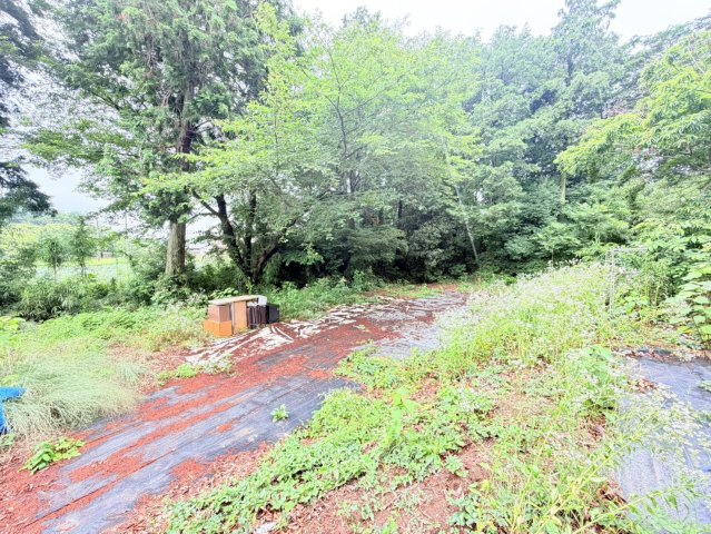 筑西市東石田中古戸建の庭