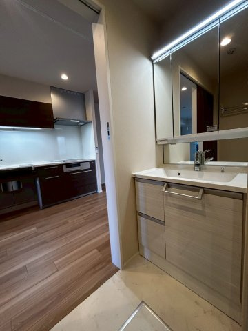 (シニア限定)シュテルン湘南の独立洗面台|鏡面裏に収納あり/ホースヘッド