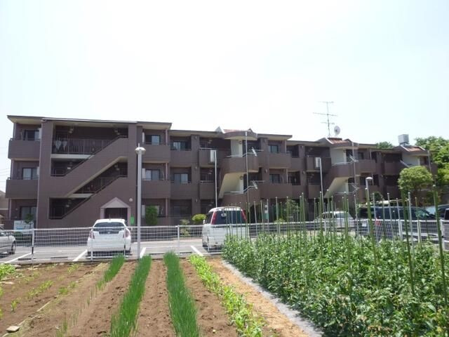 岩澤マンションのその他