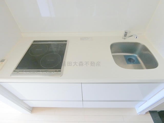 六郷土手分譲賃貸マンションのキッチン