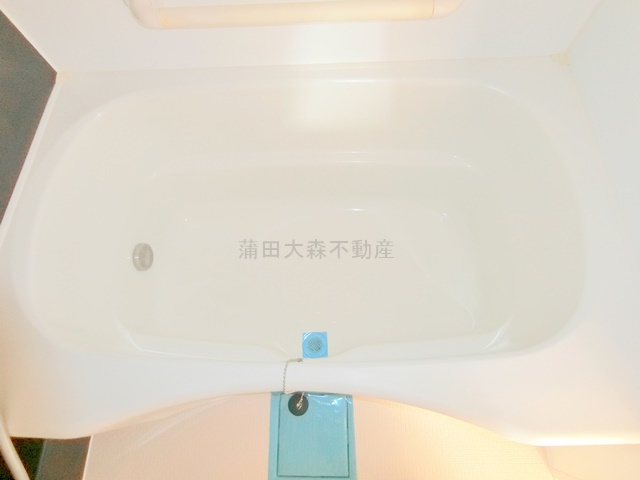 六郷土手分譲賃貸マンションの浴室