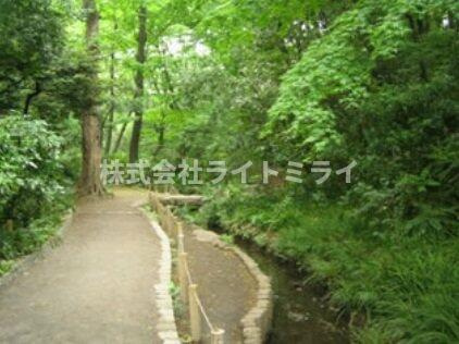 Ｔｈｅ　Ｗｅｌｌ　Ｍｅｊｉｒｏの庭|おとめ山公園 