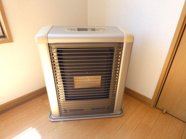 フルハウスAの玄関