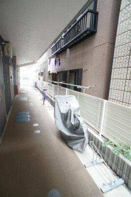 リブリ・アイ＆SHのその他