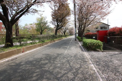 ★前面道路♪　春は桜並木になります★