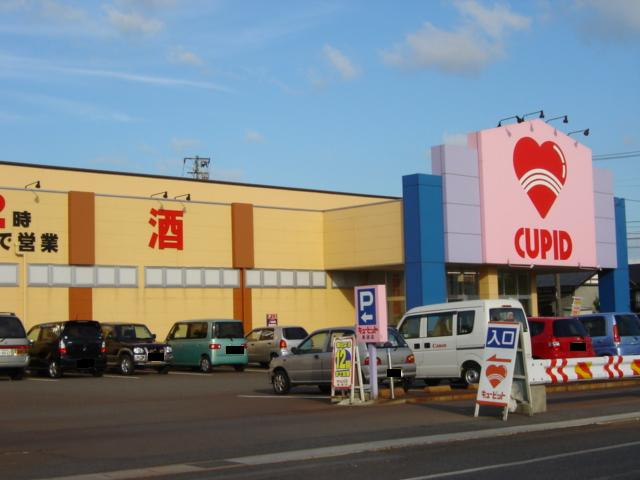 グリーンコートの周辺|キューピット長潟店まで823ｍ