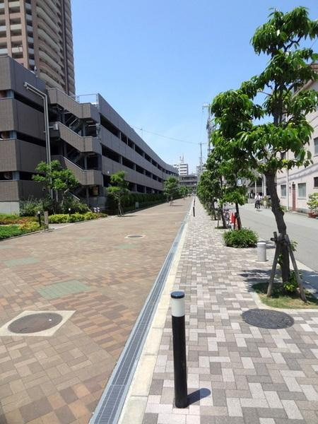 キングスクエアランドレックスＣ棟のその他|緑が多く、整備された歩道です！