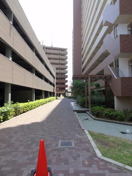 キングスクエアランドレックスＣ棟のその他|緑・水が多いマンションです！