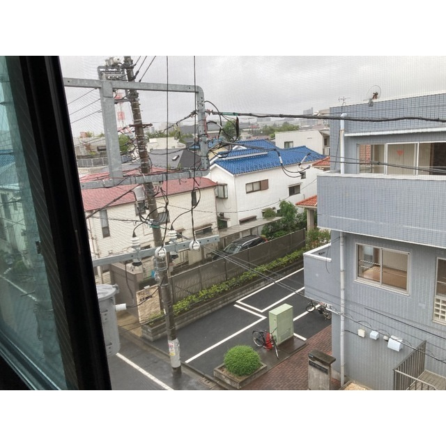 ルナーリアのその他