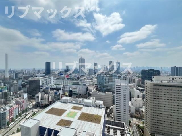 【展望】ウエストパークタワー池袋 